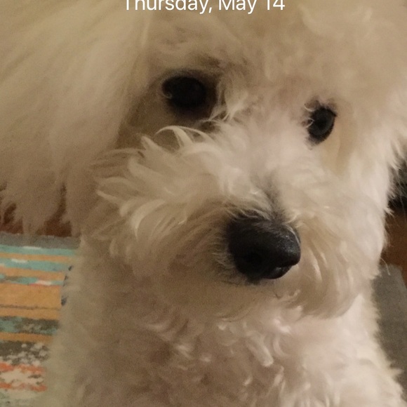 Meet your Posher, Ashley - Picture 1 of 1